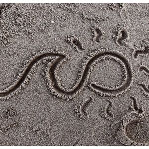 Meet your Posher, Hatti